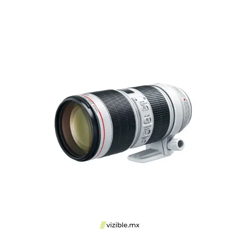 canon-ef-70-200mm-f28l-is-iii-usm1701820280-1.webp
