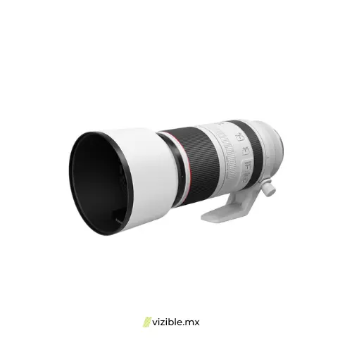canon-rf100-500mm-f4-71l-is-stm1733352822-3.webp