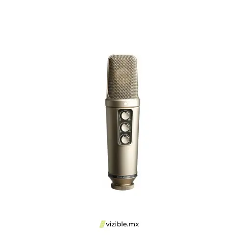 rode-nt2000-large-diaphragm-multipattern-condenser-microphone1692491468-2.webp